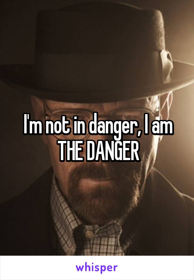 I'm not in danger, I am THE DANGER