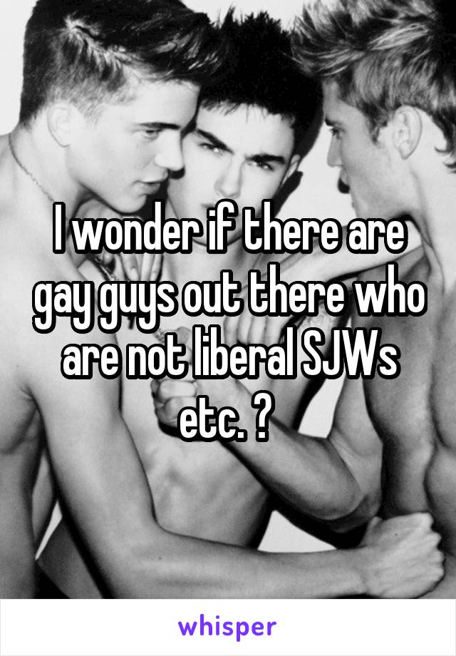 I wonder if there are gay guys out there who are not liberal SJWs etc. ? 