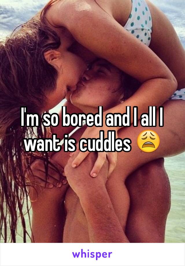 I'm so bored and I all I want is cuddles 😩