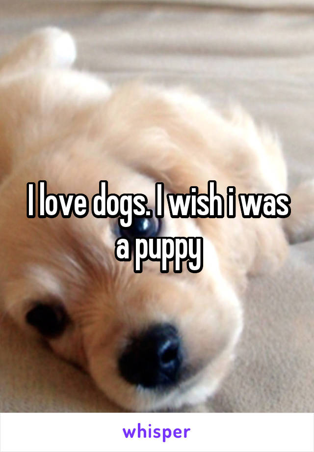 I love dogs. I wish i was a puppy