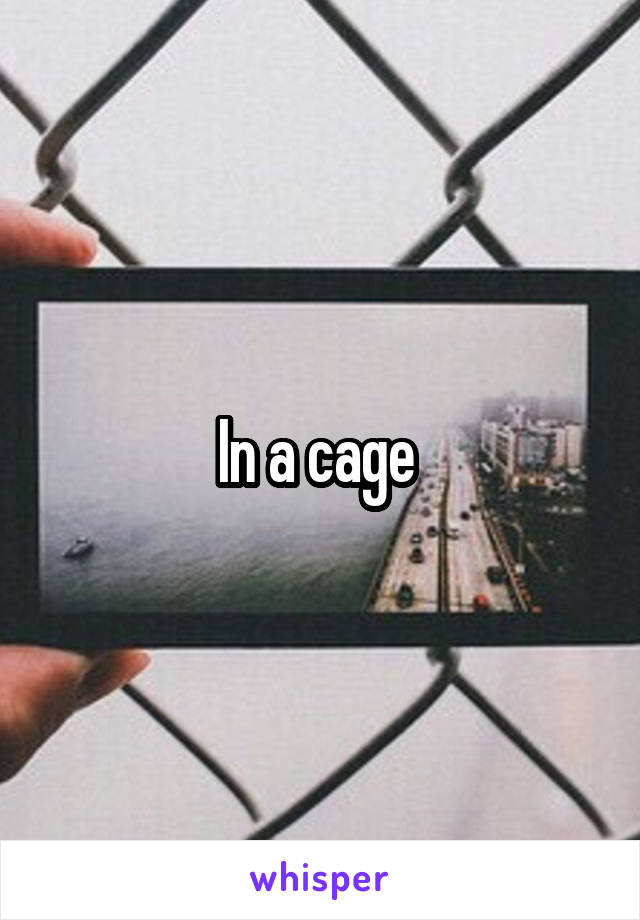 In a cage 