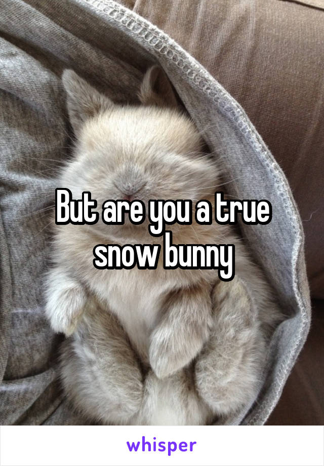 But are you a true snow bunny