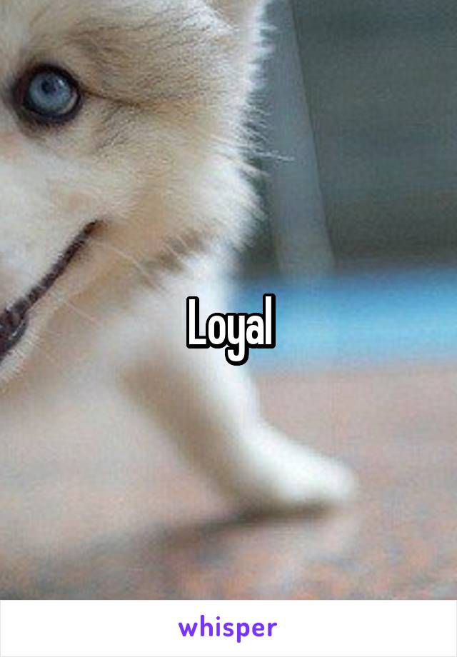 Loyal