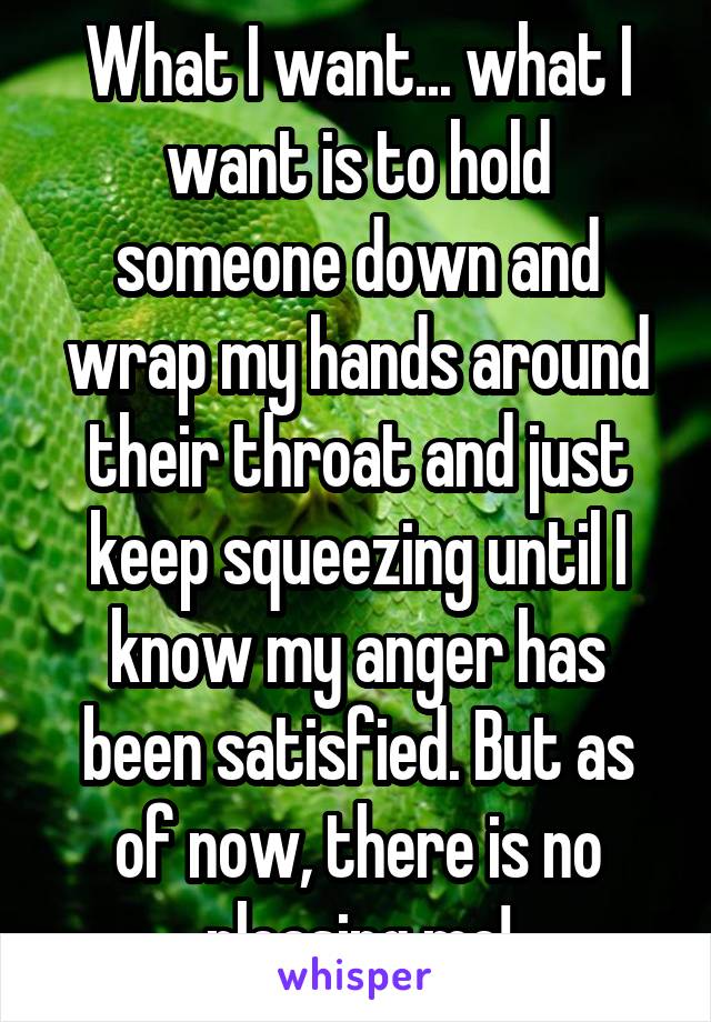 What I want... what I want is to hold someone down and wrap my hands around their throat and just keep squeezing until I know my anger has been satisfied. But as of now, there is no pleasing me!