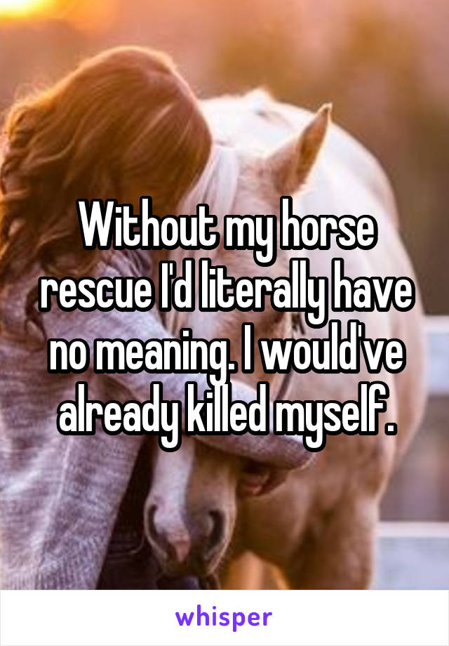 Without my horse rescue I'd literally have no meaning. I would've already killed myself.