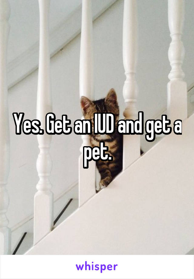 Yes. Get an IUD and get a pet.