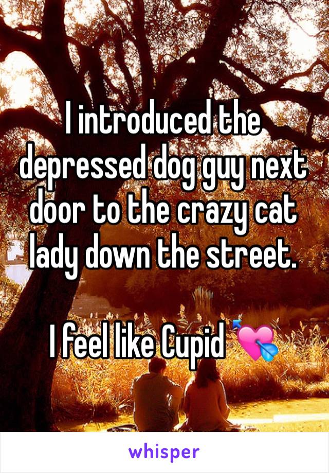 I introduced the depressed dog guy next door to the crazy cat lady down the street. 

I feel like Cupid 💘