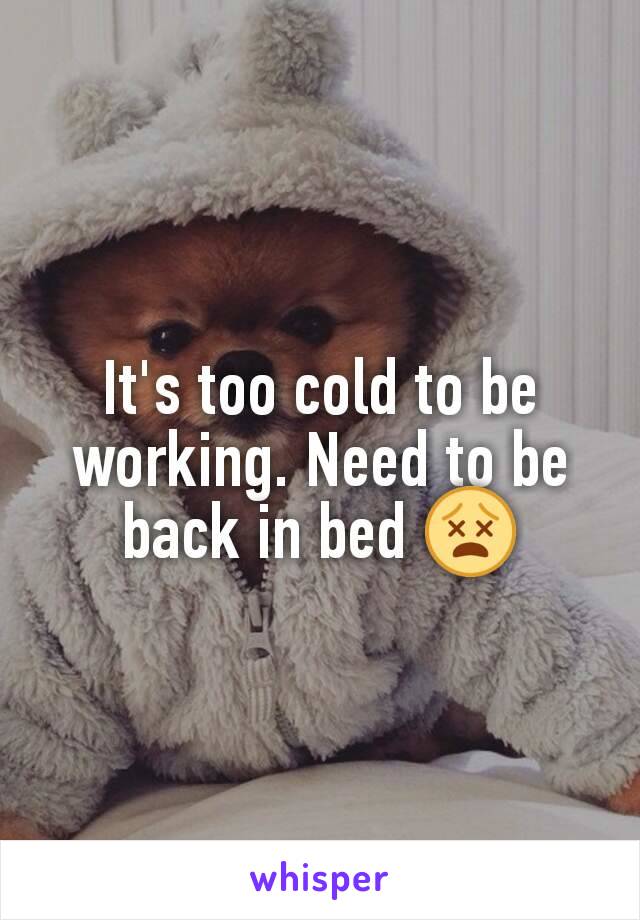 It's too cold to be working. Need to be back in bed 😵