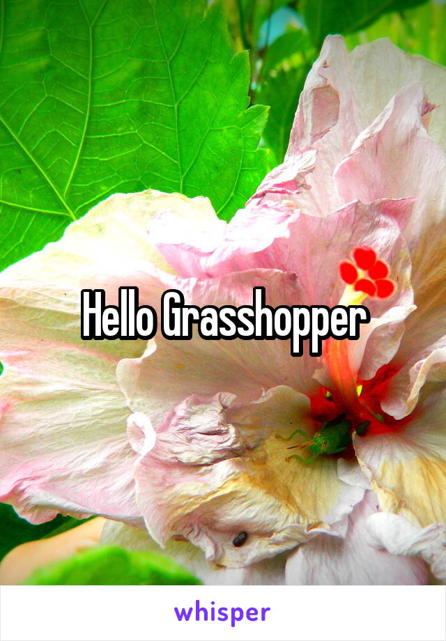 Hello Grasshopper