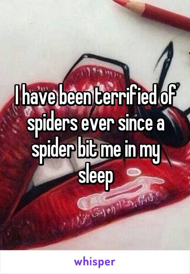 I have been terrified of spiders ever since a spider bit me in my sleep