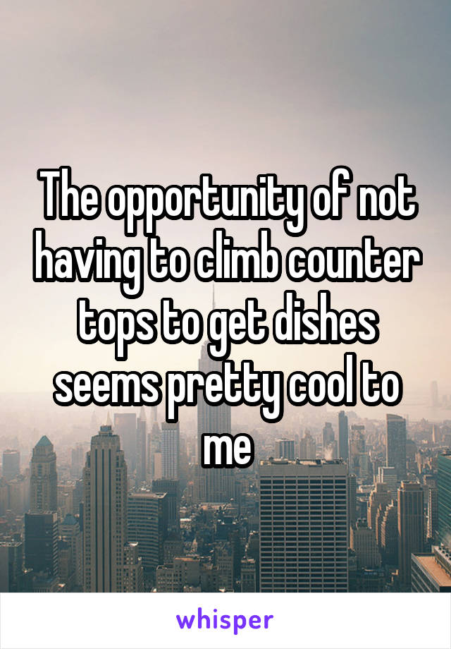 The opportunity of not having to climb counter tops to get dishes seems pretty cool to me