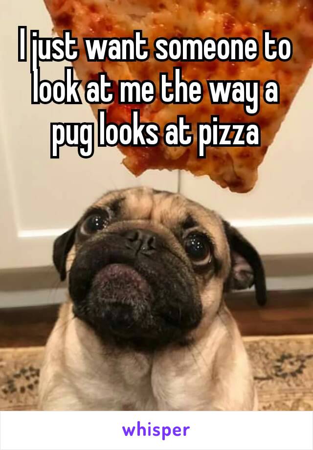 ‪I just want someone to look at me the way a pug looks at pizza