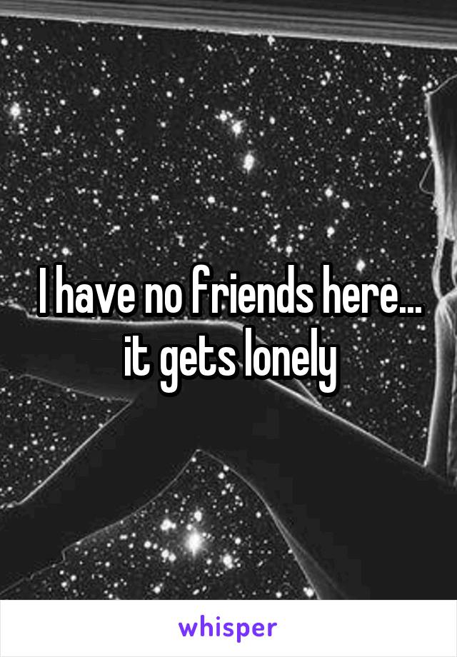 I have no friends here... it gets lonely