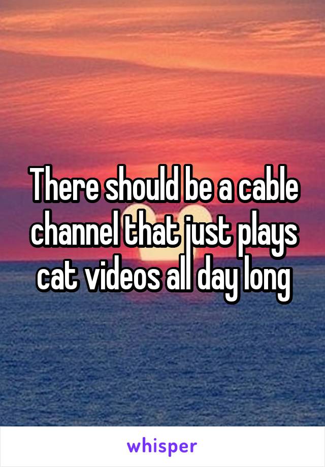 There should be a cable channel that just plays cat videos all day long