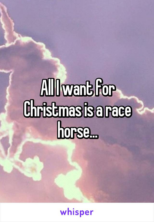 All I want for Christmas is a race horse...