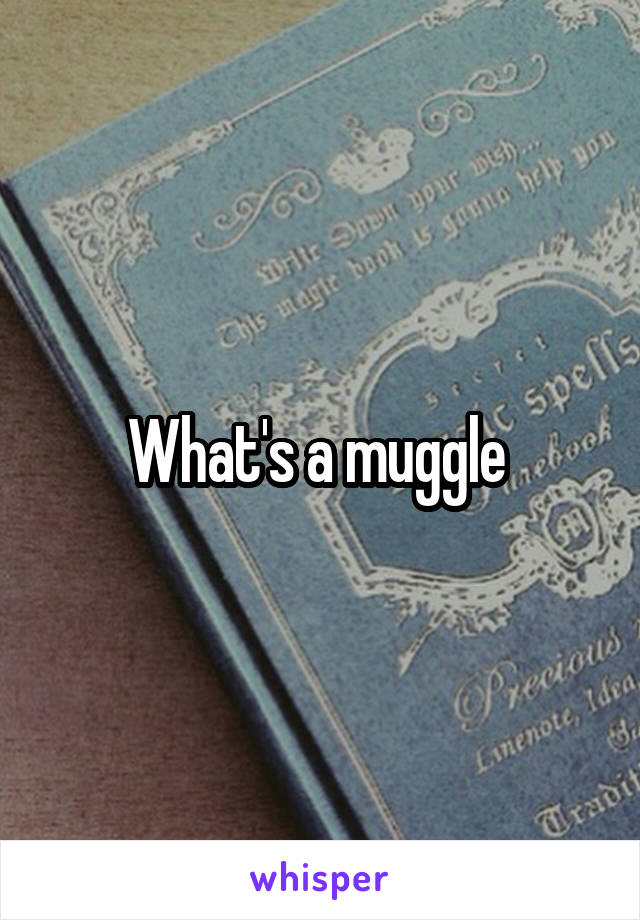 What's a muggle 