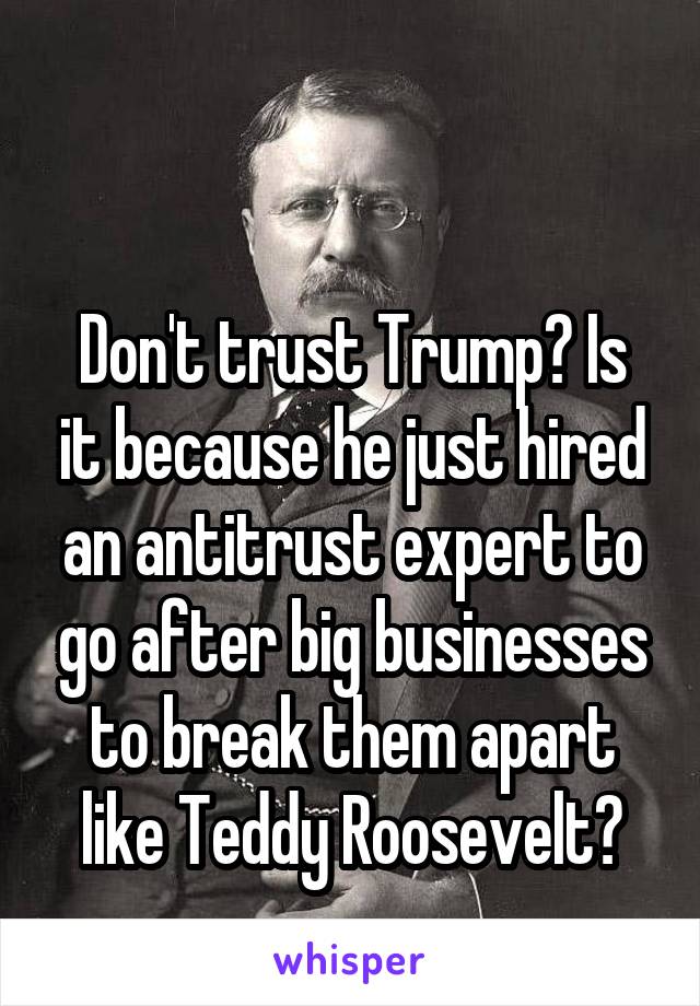 

Don't trust Trump? Is it because he just hired an antitrust expert to go after big businesses to break them apart like Teddy Roosevelt?