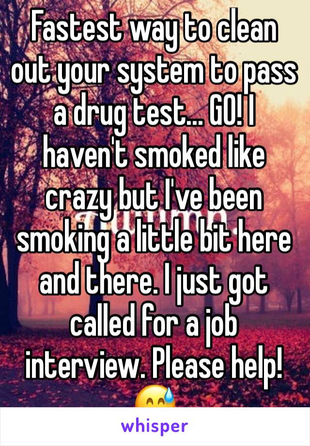 Fastest way to clean out your system to pass a drug test... GO! I haven't smoked like crazy but I've been smoking a little bit here and there. I just got called for a job interview. Please help! 😅