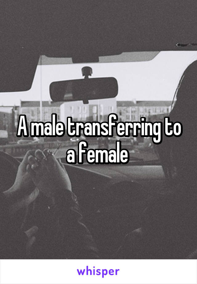 A male transferring to a female 