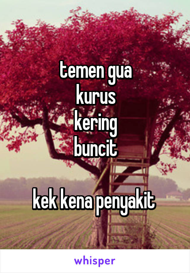 temen gua
kurus
kering
buncit

kek kena penyakit 