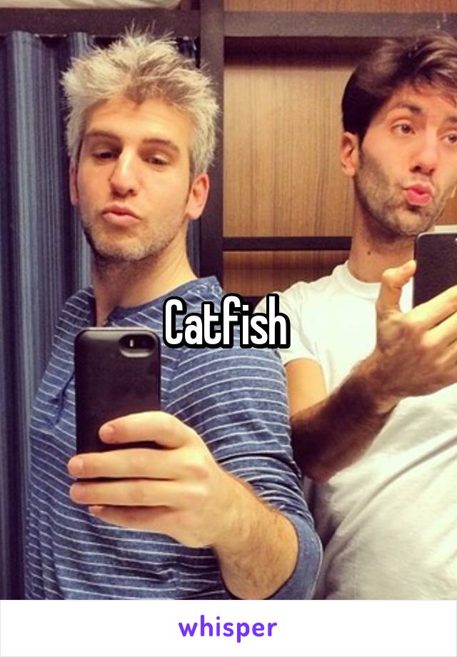 Catfish 