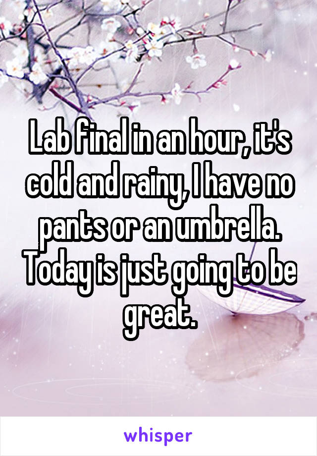 Lab final in an hour, it's cold and rainy, I have no pants or an umbrella. Today is just going to be great.