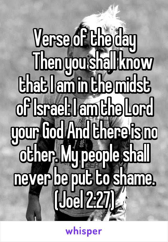 Verse of the day
     Then you shall know that I am in the midst of Israel: I am the Lord your God And there is no other. My people shall never be put to shame. (Joel 2:27)