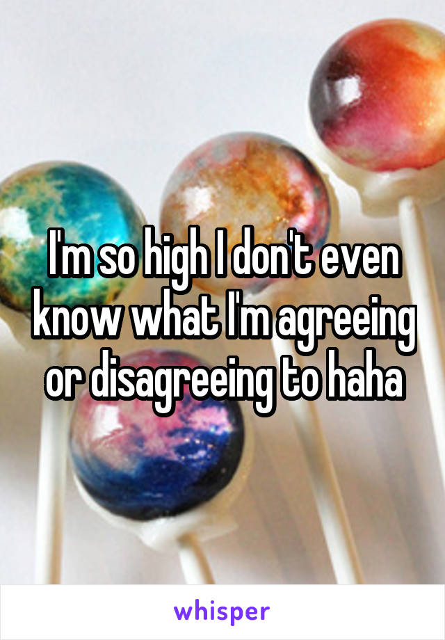 I'm so high I don't even know what I'm agreeing or disagreeing to haha