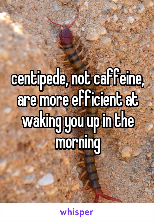 centipede, not caffeine, are more efficient at waking you up in the morning