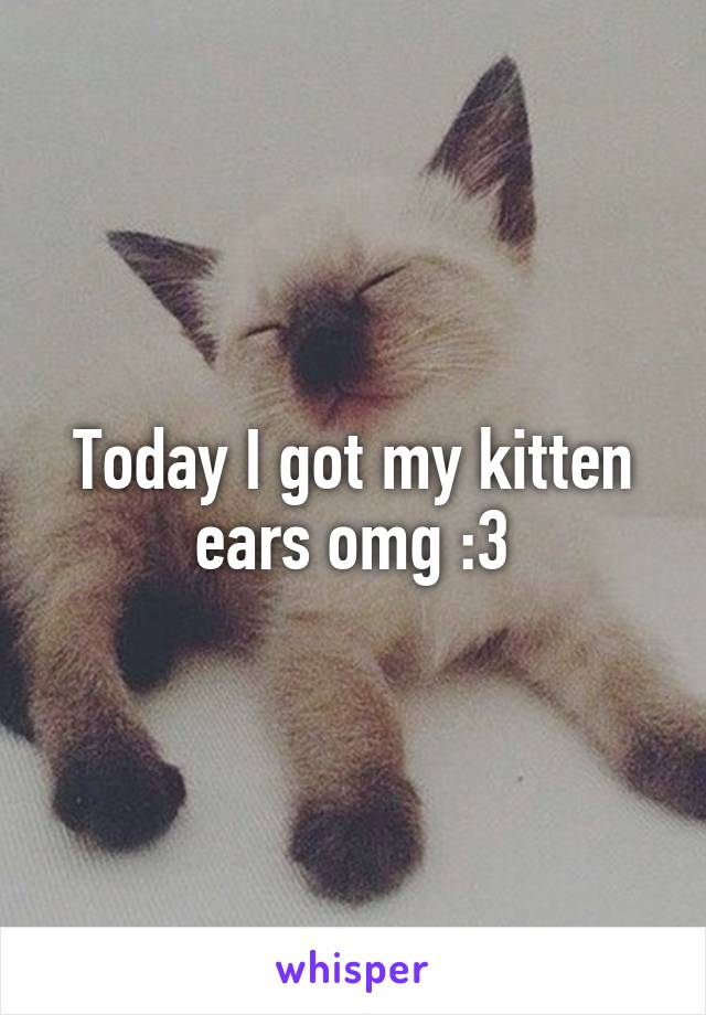 Today I got my kitten ears omg :3