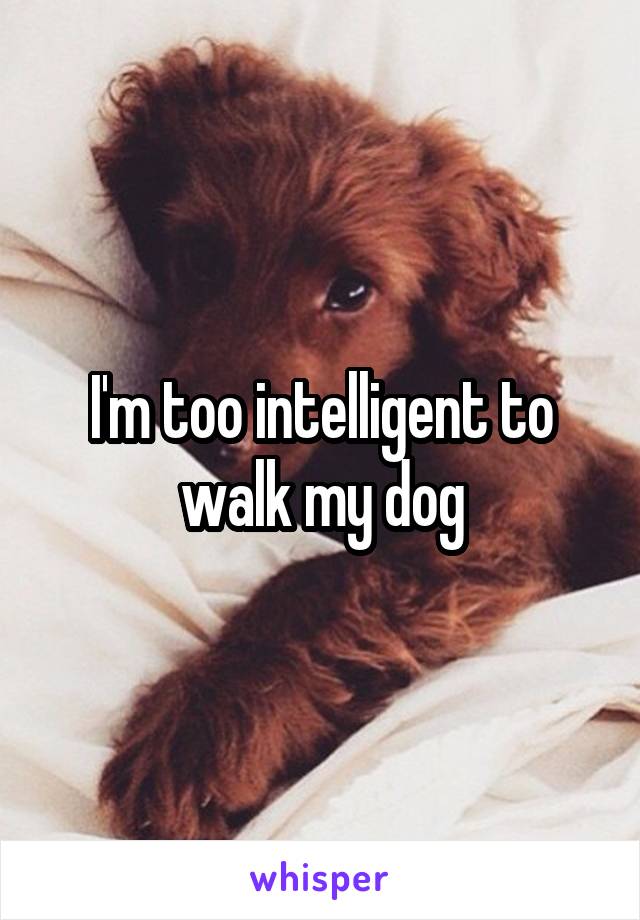 I'm too intelligent to walk my dog