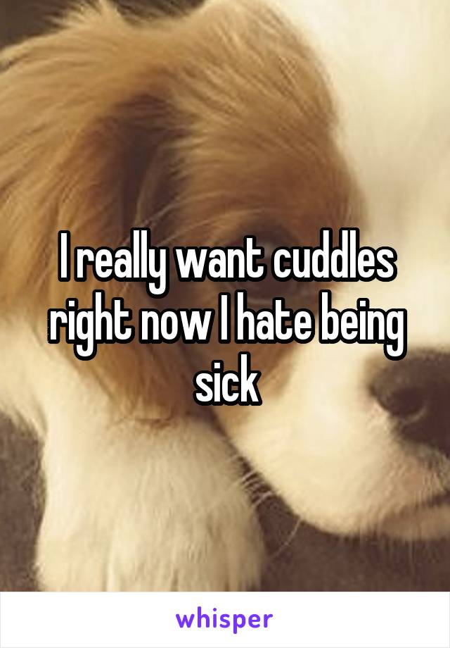 I really want cuddles right now I hate being sick