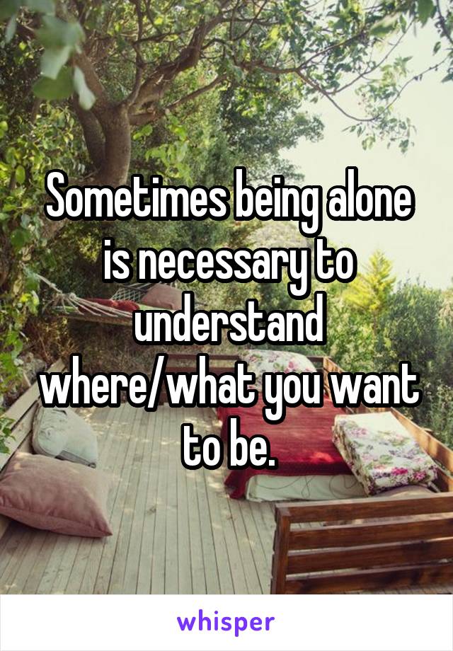 Sometimes being alone is necessary to understand where/what you want to be.