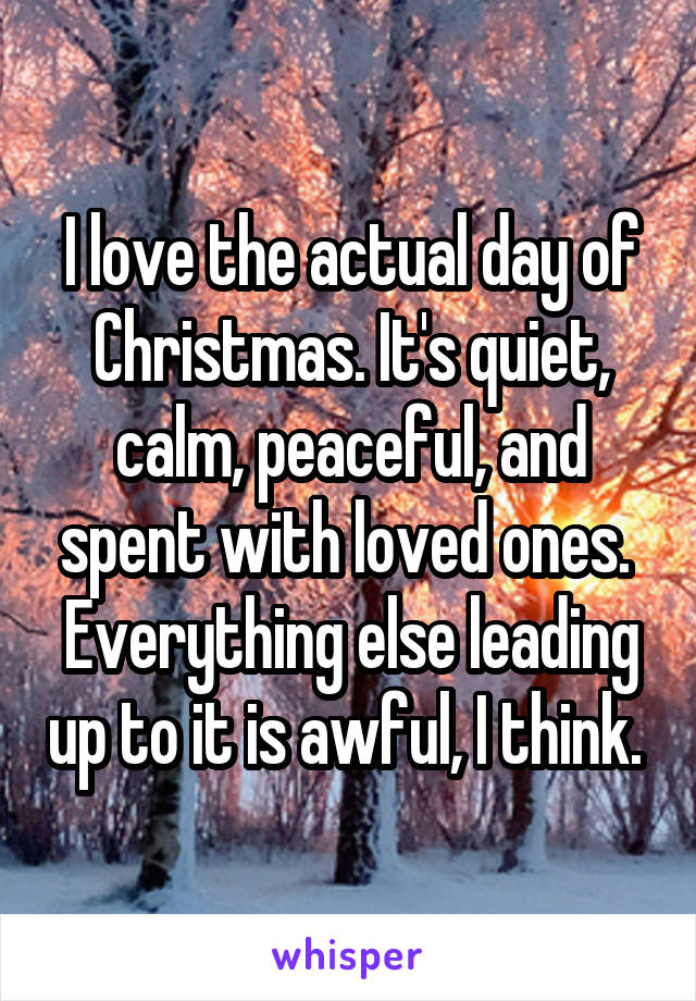 I love the actual day of Christmas. It's quiet, calm, peaceful, and spent with loved ones. 
Everything else leading up to it is awful, I think. 