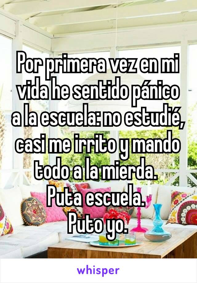 Por primera vez en mi vida he sentido pánico a la escuela: no estudié, casi me irrito y mando todo a la mierda. 
Puta escuela. 
Puto yo.