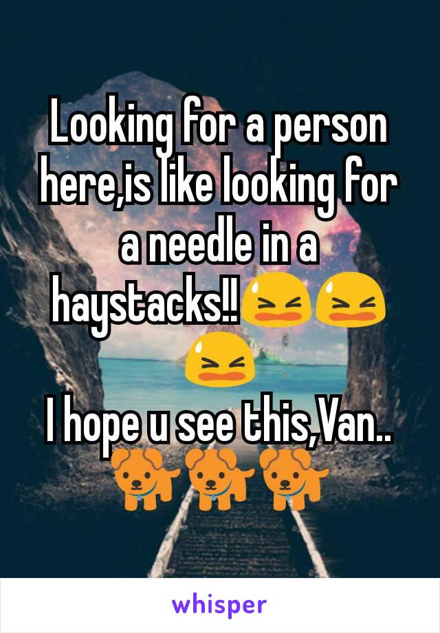 Looking for a person here,is like looking for a needle in a haystacks!!😫😫😫
I hope u see this,Van..
🐕🐕🐕
