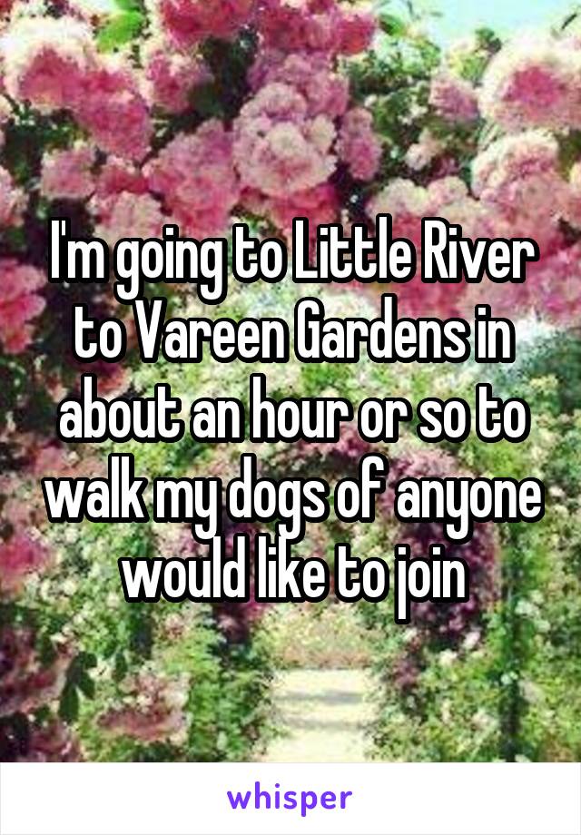 I'm going to Little River to Vareen Gardens in about an hour or so to walk my dogs of anyone would like to join