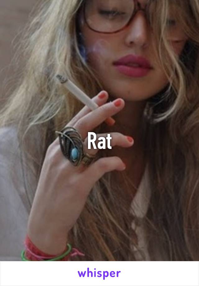 Rat