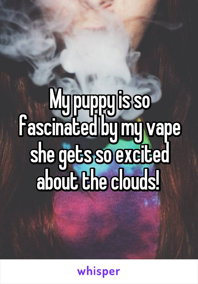 My puppy is so fascinated by my vape she gets so excited about the clouds! 