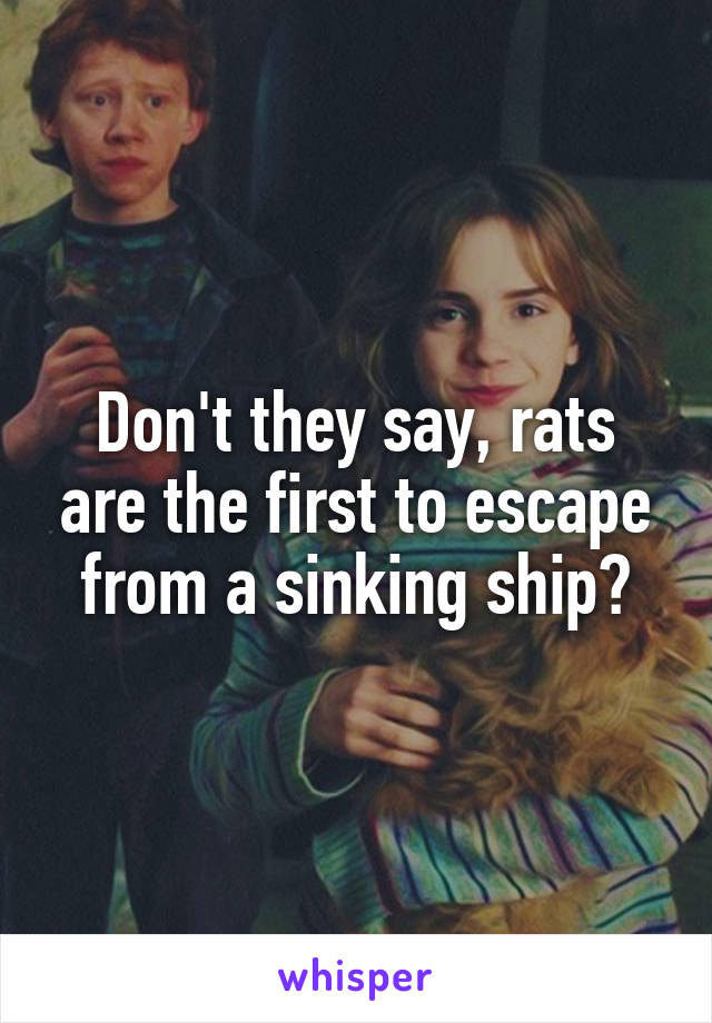 Don't they say, rats are the first to escape from a sinking ship?