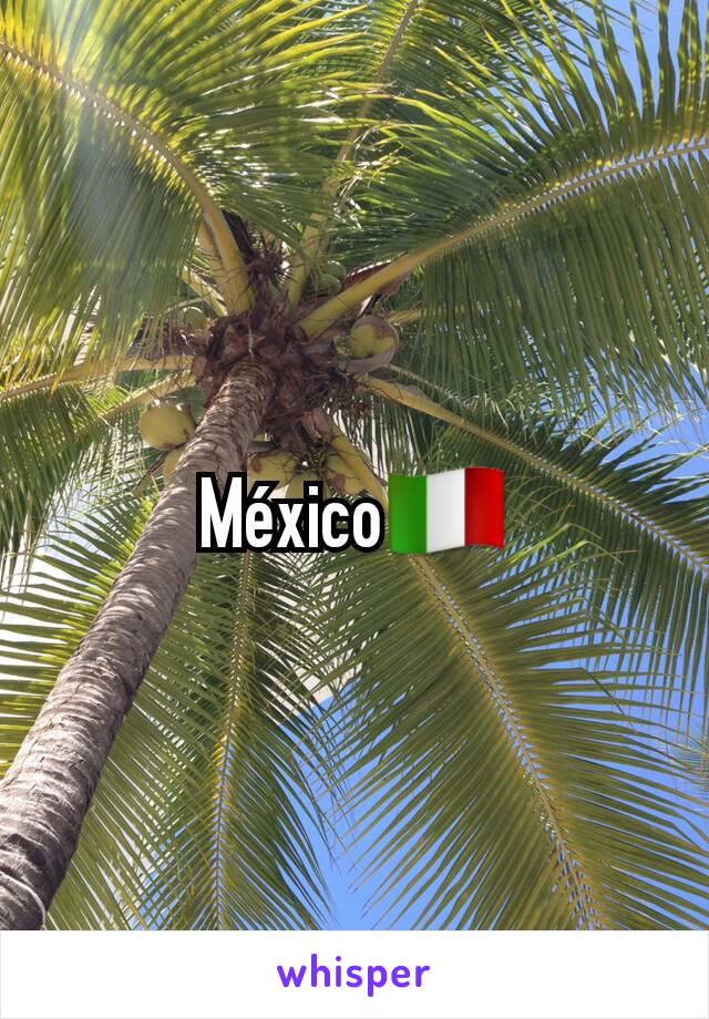 México🇮🇹