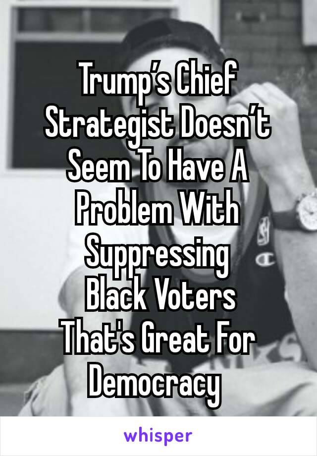 Trump’s Chief Strategist Doesn’t Seem To Have A Problem With Suppressing
 Black Voters
That's Great For Democracy 