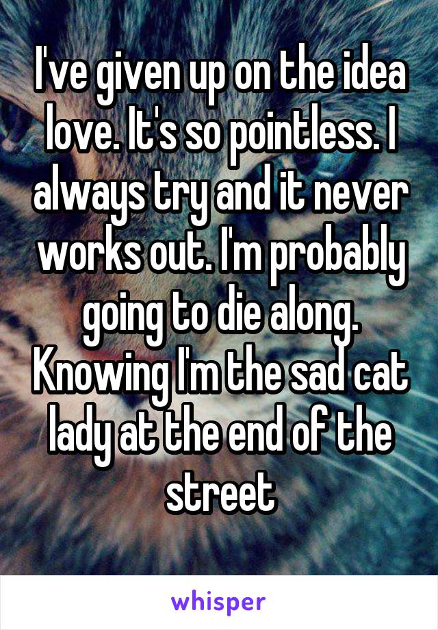 I've given up on the idea love. It's so pointless. I always try and it never works out. I'm probably going to die along. Knowing I'm the sad cat lady at the end of the street
