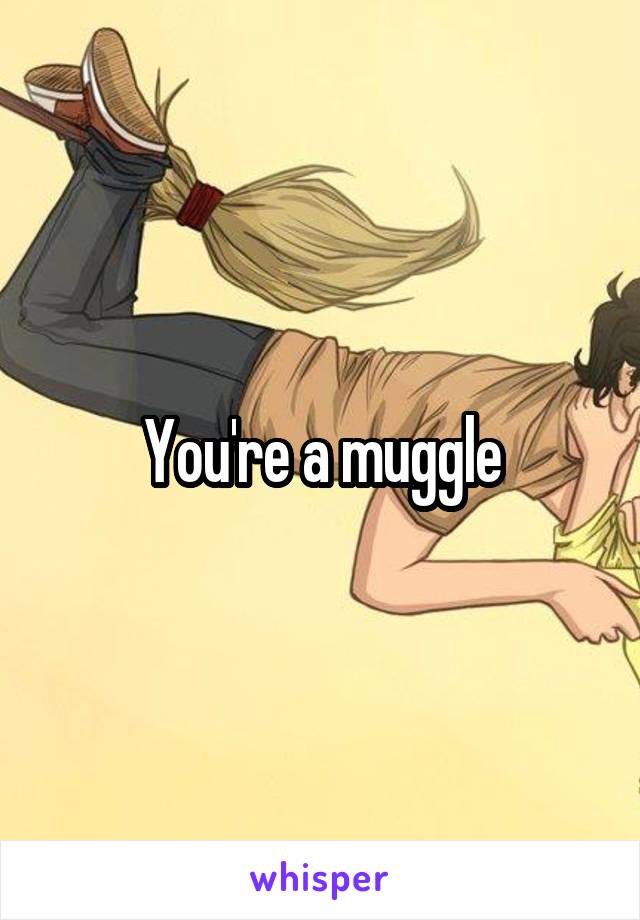 You're a muggle