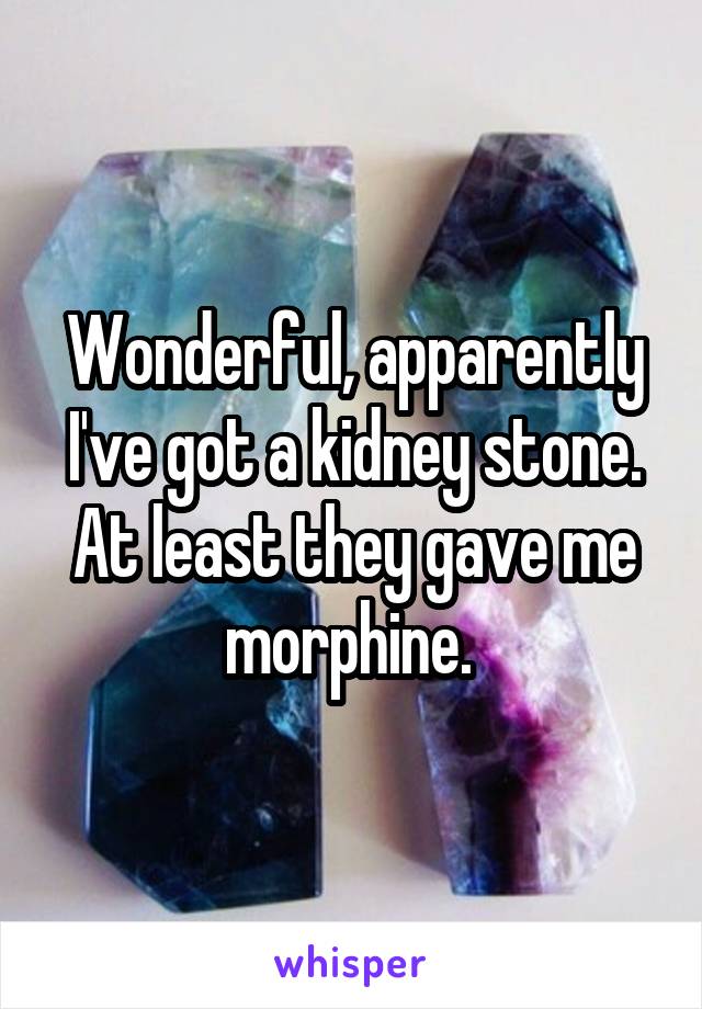 Wonderful, apparently I've got a kidney stone. At least they gave me morphine. 