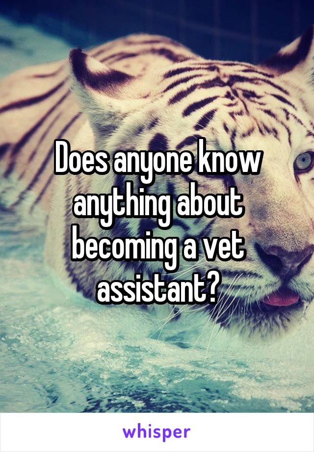 Does anyone know anything about becoming a vet assistant?