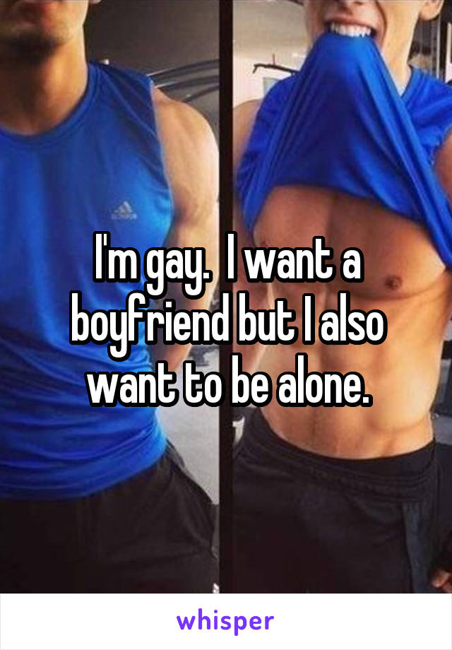 I'm gay.  I want a boyfriend but I also want to be alone.