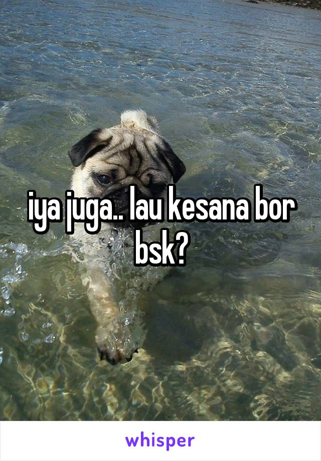 iya juga.. lau kesana bor bsk?