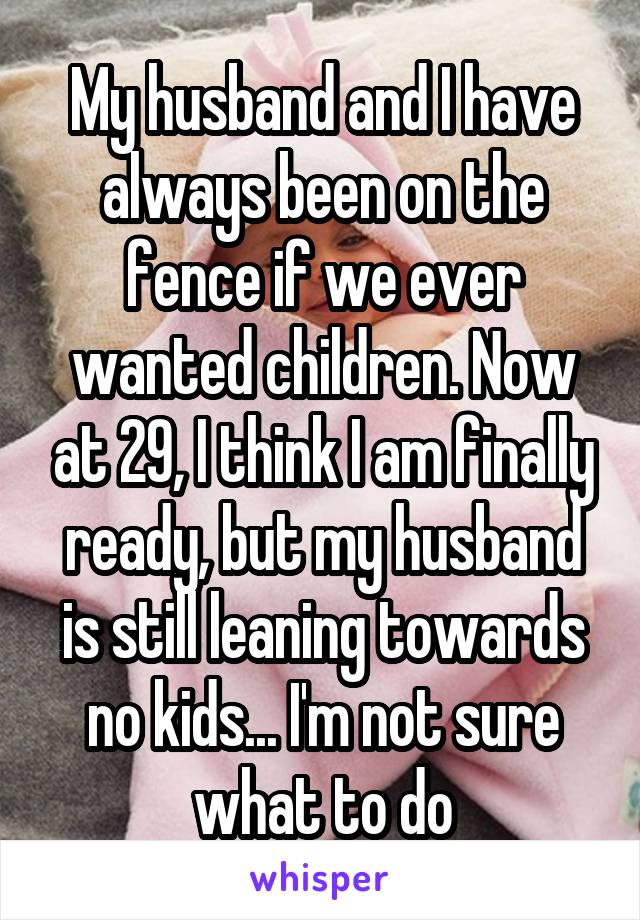 My husband and I have always been on the fence if we ever wanted children. Now at 29, I think I am finally ready, but my husband is still leaning towards no kids... I'm not sure what to do