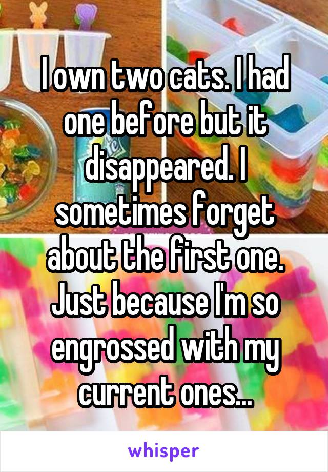 I own two cats. I had one before but it disappeared. I sometimes forget about the first one. Just because I'm so engrossed with my current ones...